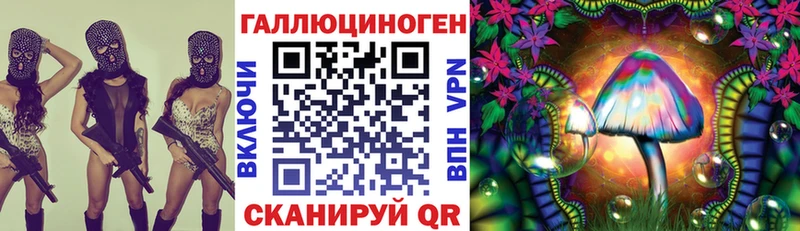 блэк спрут вход Пенза сайты даркнета клад Псилоцибиновые грибы Cubensis