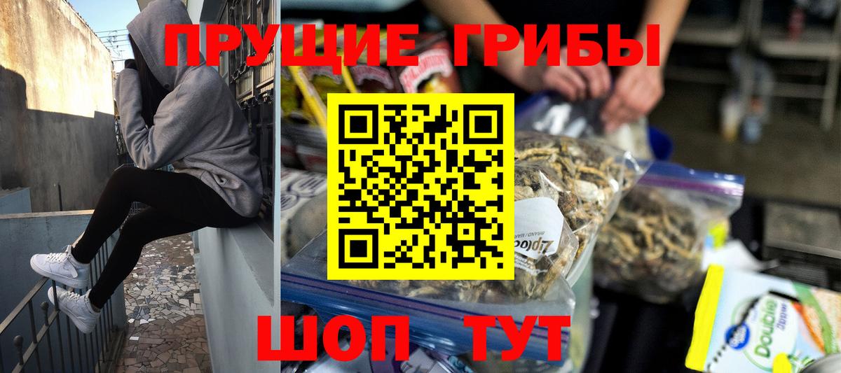 Галлюциногенные грибы Cubensis Пенза