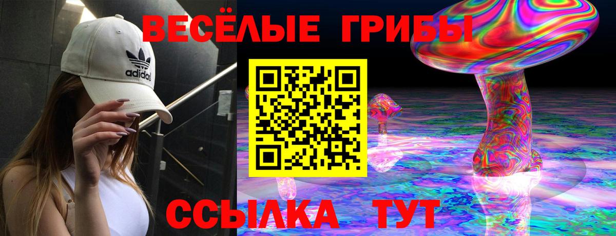 Галлюциногенные грибы Cubensis Пенза
