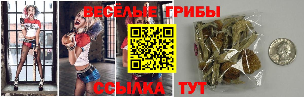 Псилоцибиновые грибы Cubensis  Вход с VPN  Псилоцибиновые грибы прущие грибы  Пенза 